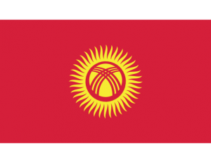 iconfinder_144_Ensign_Flag_Nation_kyrgyzstan_2634334
