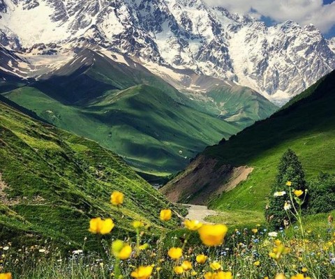 36664429_545095222573579_616319594998530048_n