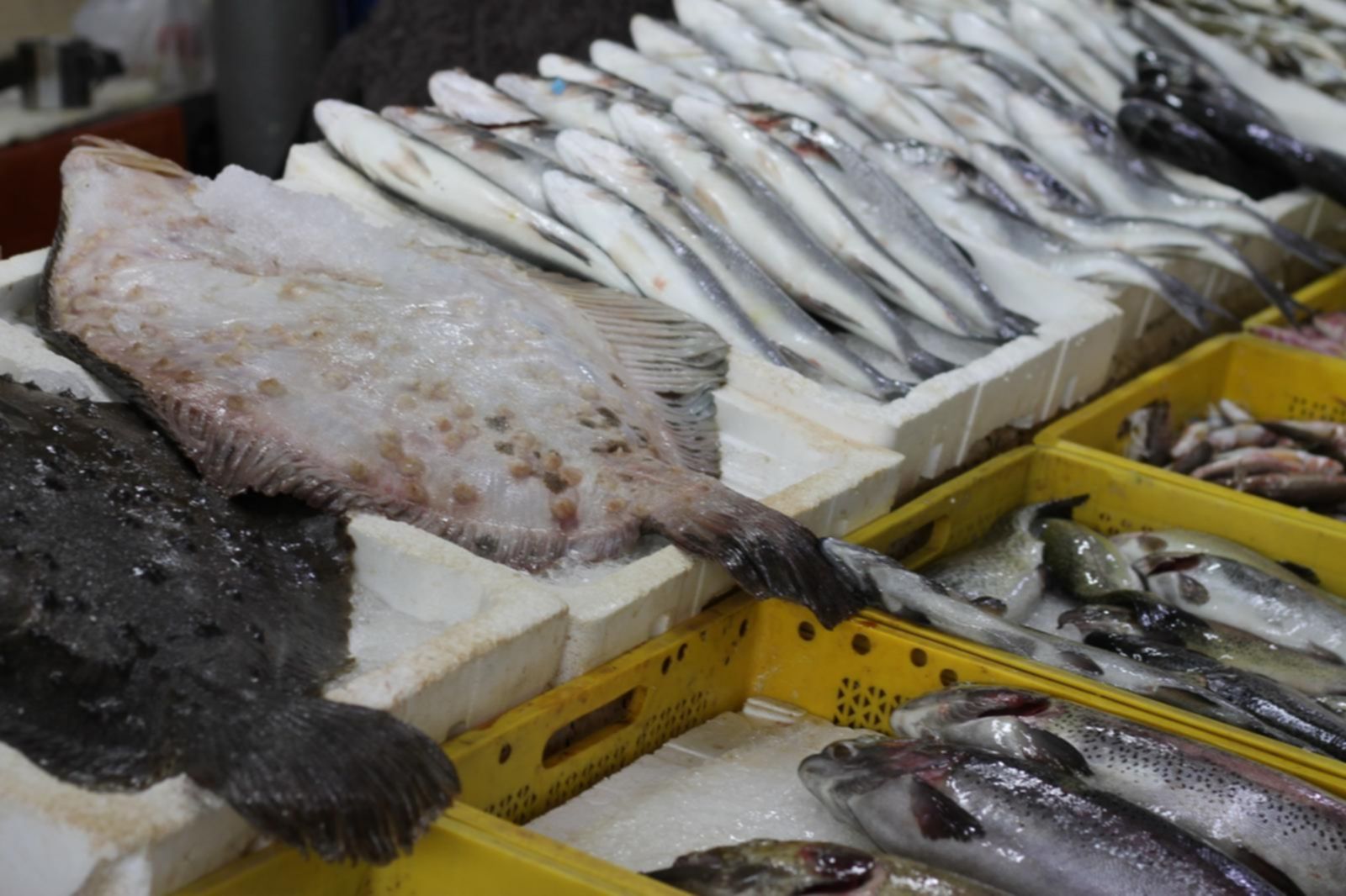 bazar rybny w Batumi świeże ryby Gruzja targ rybny